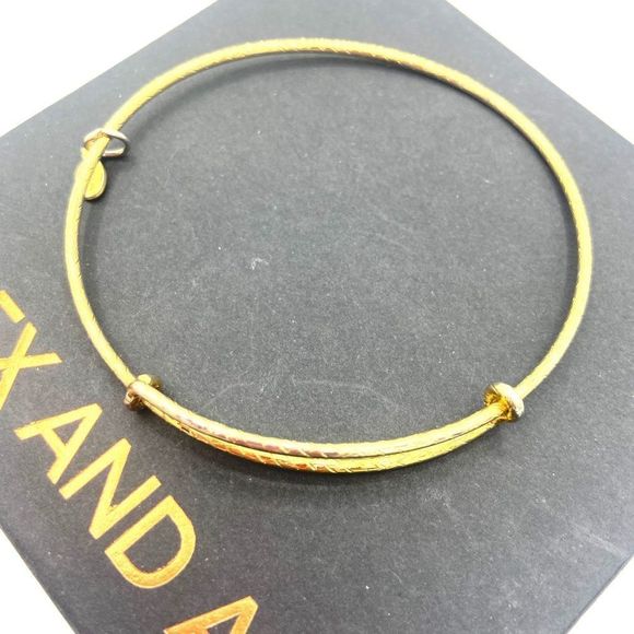ALEX AND ANI Gold Bracelet - Picture 2 of 3